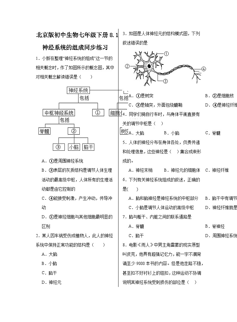 8.1++神经系统的组成++同步练习(含答案)-2023-2024学年京改版生物七年级下册第1页