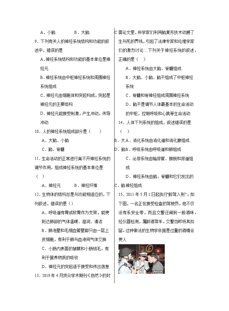 8.1++神经系统的组成++同步练习(含答案)-2023-2024学年京改版生物七年级下册第2页