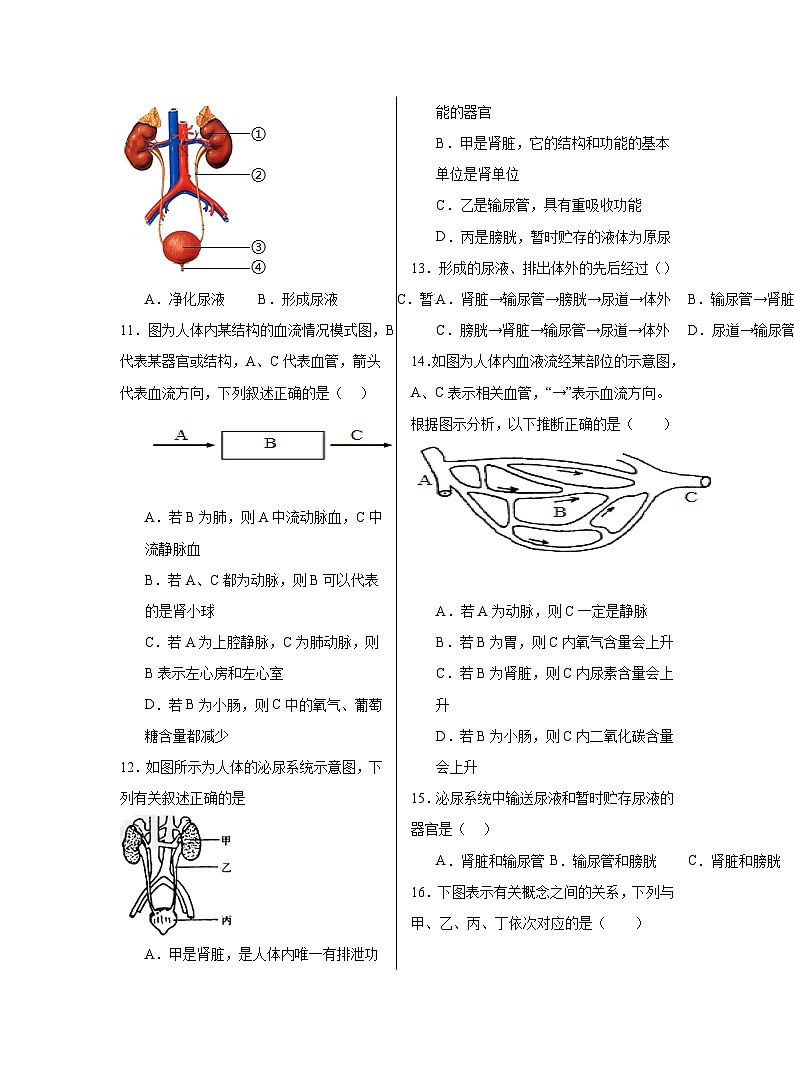 7.1++代谢废物++同步练习(含答案)-2023-2024学年京改版生物七年级下册02