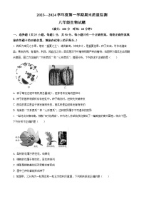 山東省濟寧市兗州區(qū)2023-2024學(xué)年八年級上學(xué)期期末生物試題（原卷版+解析版）