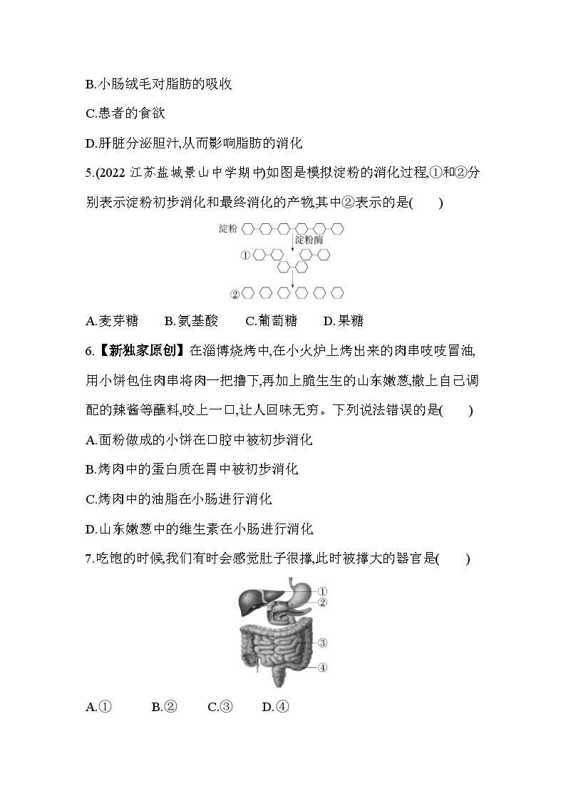 2.2   消化和吸收--人教版初中生物七年级下册同步练习02