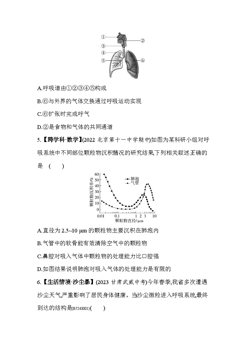 第三章   人体的呼吸综合检测--人教版初中生物七年级下册同步练习第2页