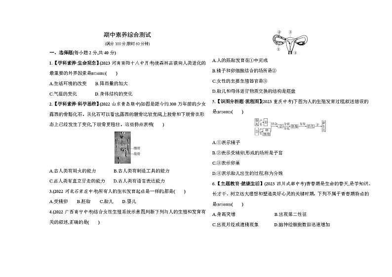 期中素养综合测试--人教版初中生物七年级下册同步练习第1页