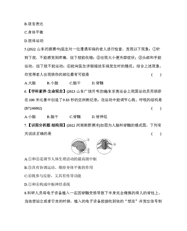6.2 神经系统的组成--五·四学制鲁科版初中生物七年级下册同步练习02