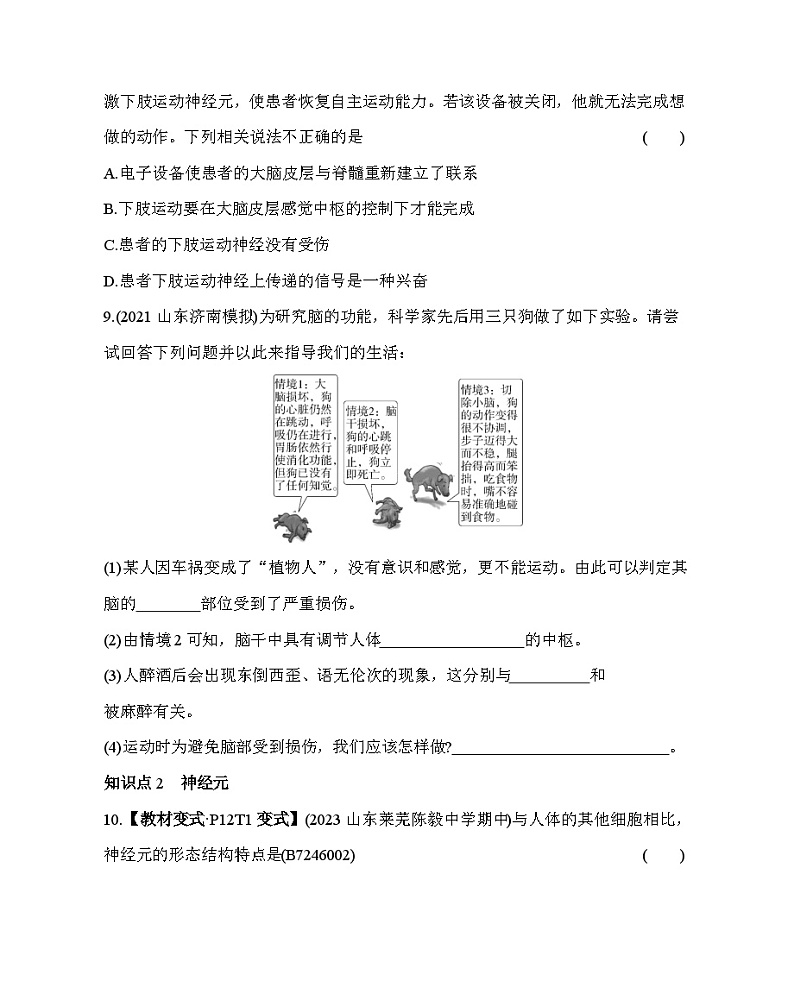6.2 神经系统的组成--五·四学制鲁科版初中生物七年级下册同步练习03