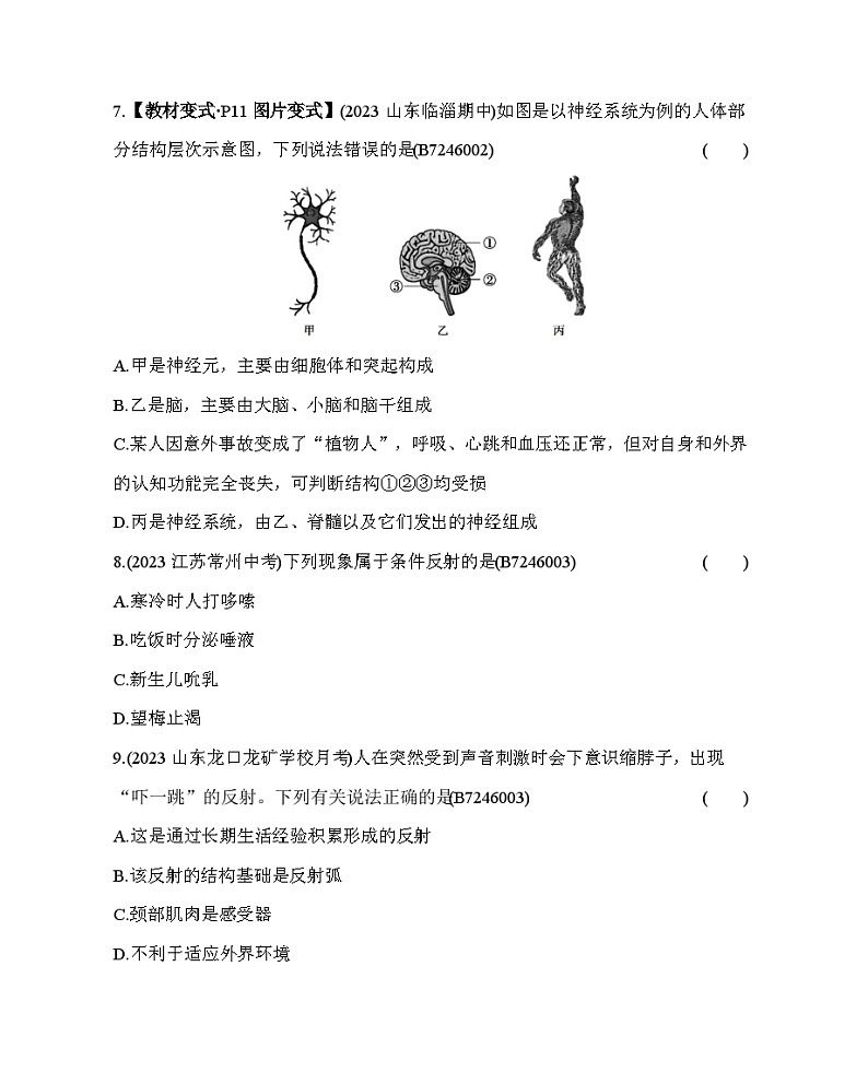 第六章 人体生命活动的调节综合检测--五·四学制鲁科版初中生物七年级下册同步练习03