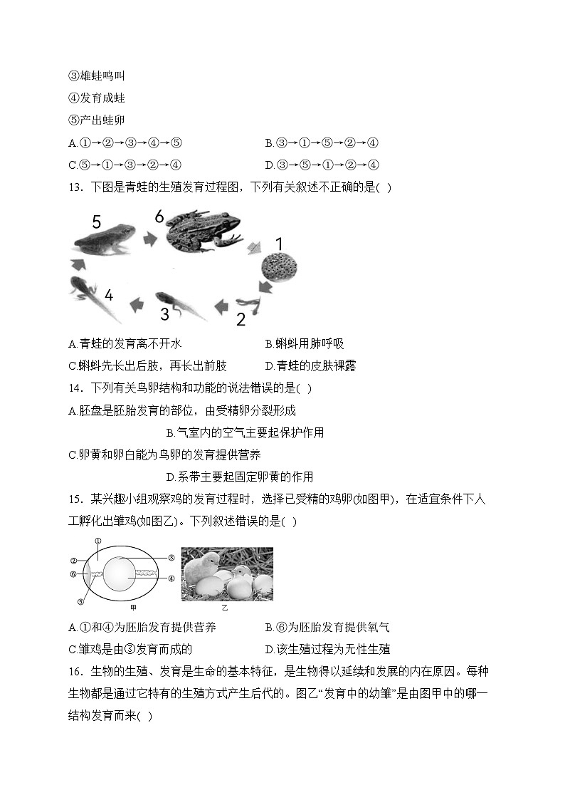 (1)生物的生殖和发育——2023-2024学年八年级下册生物人教版单元测评卷(A卷)(含答案)第3页