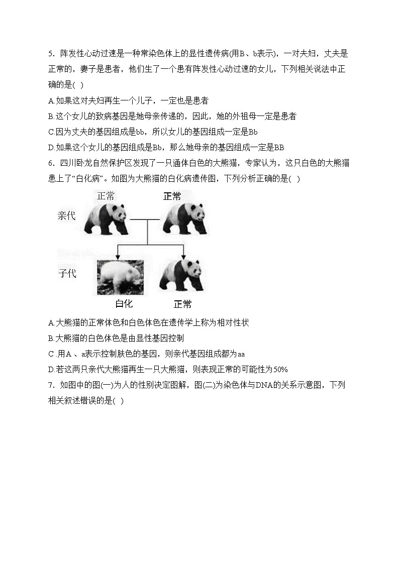(2)生物的遗传与变异——2023-2024学年八年级下册生物人教版单元测评卷(B卷)(含答案)02