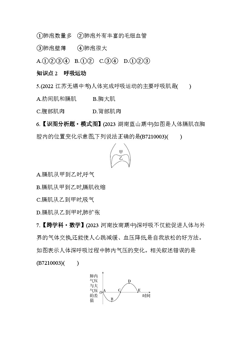 10.3 人体和外界环境的气体交换--苏教版初中生物七年级下册同步练习第2页