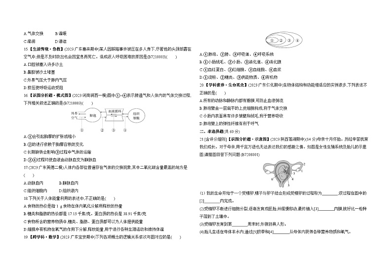 期中素养综合测试--苏教版初中生物七年级下册同步练习03