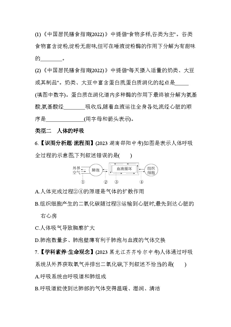 02   专项素养综合全练（二）   人体的呼吸、人体内物质的吸收和运输--人教版初中生物七年级下册同步练习03