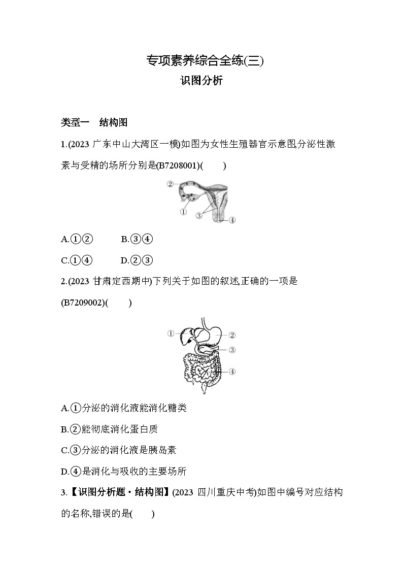 03-专项素养综合全练(三)识图分析--苏教版初中生物七年级下册同步练习01