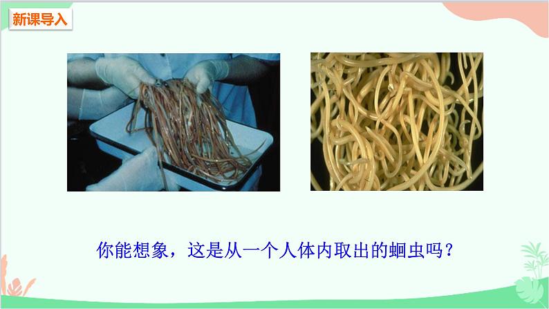人教版生物八年级上册 第五单元第一章第二节 线形动物和环节动物课件第2页