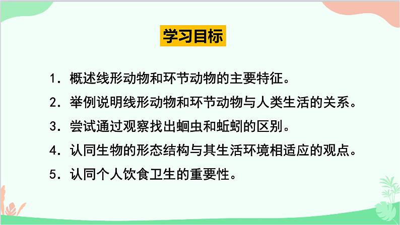 人教版生物八年级上册 第五单元第一章第二节 线形动物和环节动物课件第3页