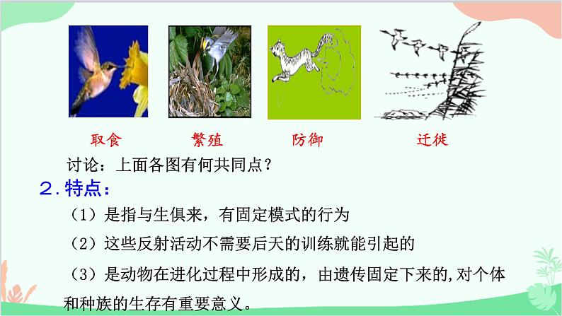 人教版生物八年级上册 第五单元第二章第二节 先天性行为和学习行为课件第5页