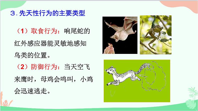 人教版生物八年级上册 第五单元第二章第二节 先天性行为和学习行为课件第6页