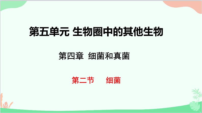 人教版生物八年级上册 第五单元第四章第二节 细菌课件第1页