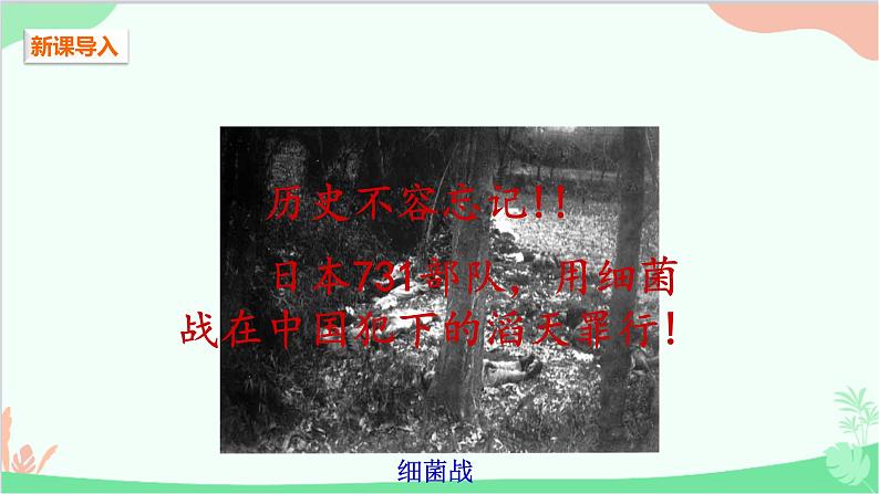 人教版生物八年级上册 第五单元第四章第二节 细菌课件第2页