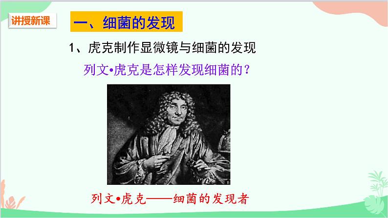 人教版生物八年级上册 第五单元第四章第二节 细菌课件第4页