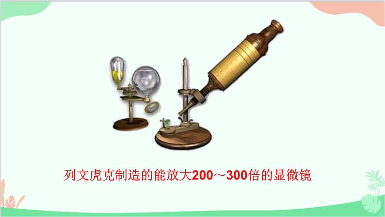 人教版生物八年级上册 第五单元第四章第二节 细菌课件第5页