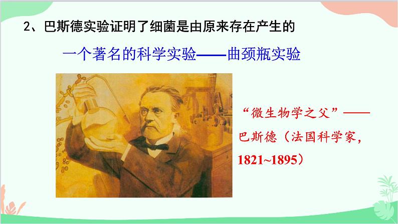 人教版生物八年级上册 第五单元第四章第二节 细菌课件第8页