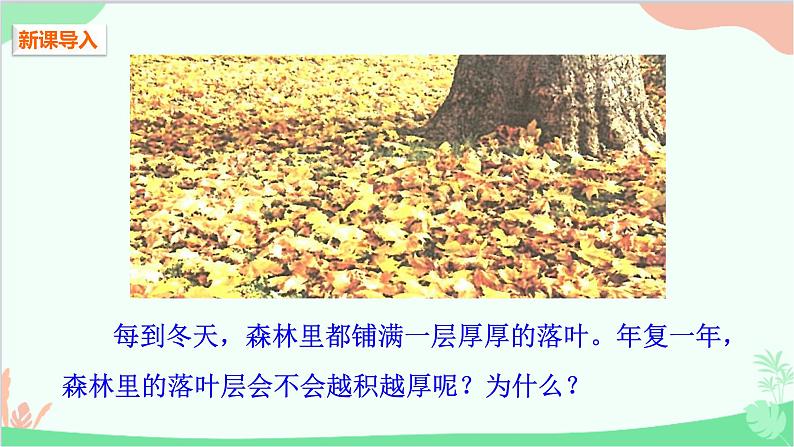 人教版生物八年级上册 第五单元第四章第四节 细菌和真菌在自然界中的作用课件第2页