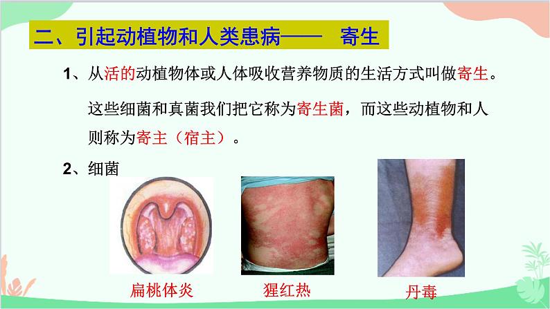 人教版生物八年级上册 第五单元第四章第四节 细菌和真菌在自然界中的作用课件第5页