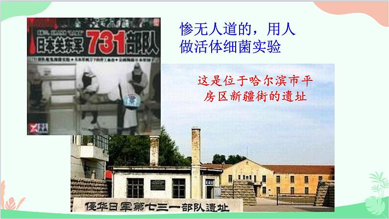 人教版生物八年级上册 第五单元第四章第四节 细菌和真菌在自然界中的作用课件第7页