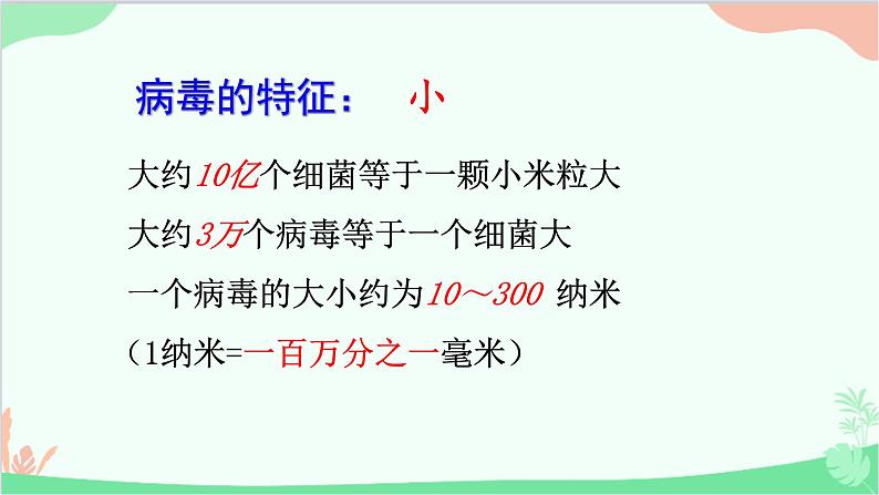 人教版生物八年级上册 第五单元第五章 病毒课件第3页