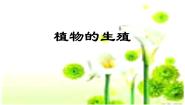 八年级下册第一节 植物的生殖教学演示课件ppt