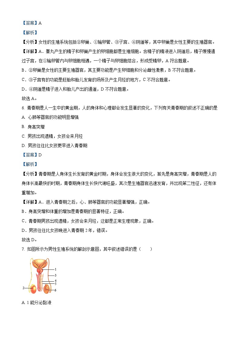 山东省威海市荣成市2022-2023学年七年级上学期期末生物试题第3页