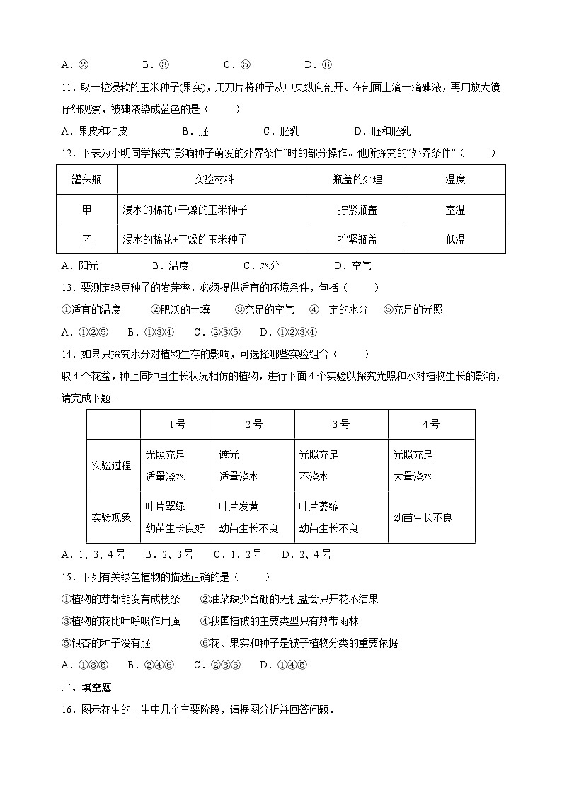 苏科版八年级上册生物第19章《植物的生殖和发育》测试卷(含答案)第3页