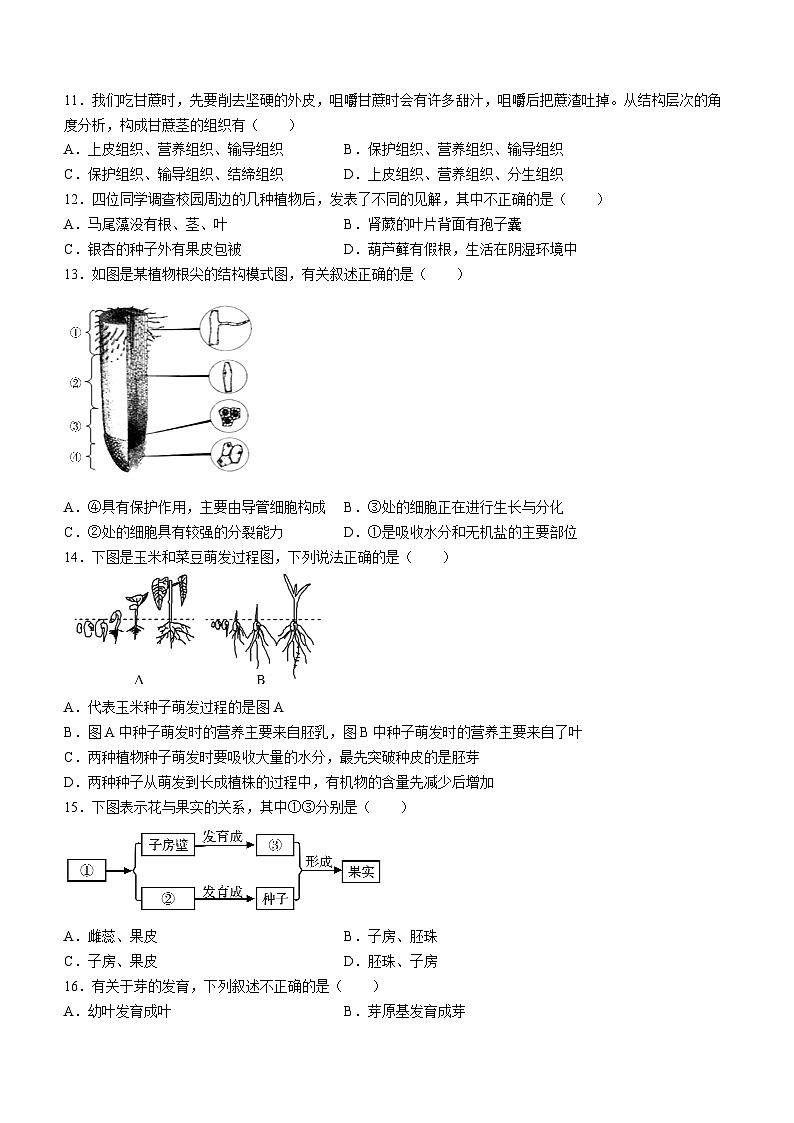 陕西省渭南市大荔县2023-2024学年七年级上学期期末生物试题第3页