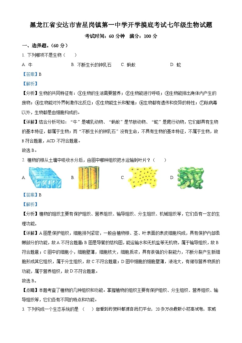 黑龙江省绥化市安达市吉星岗镇第一中学2023-2024学年七年级下学期开学考试生物试题