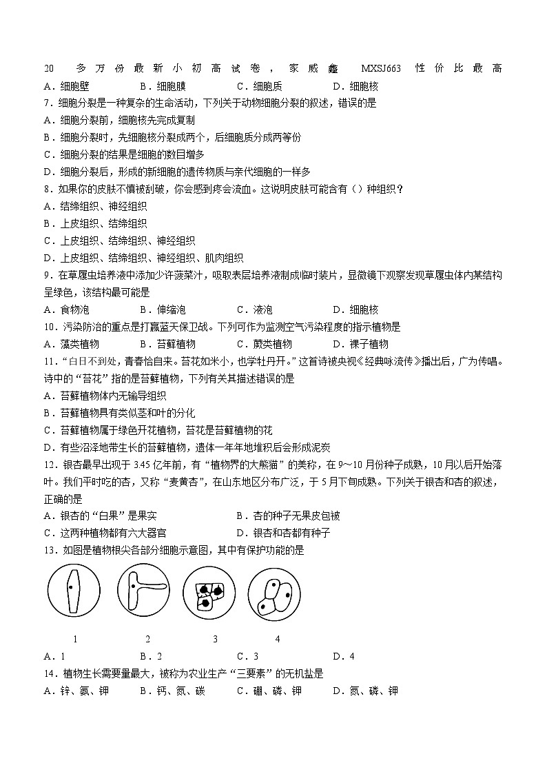 山东省临沂市沂水县2023-2024学年七年级上学期期末生物试题第2页