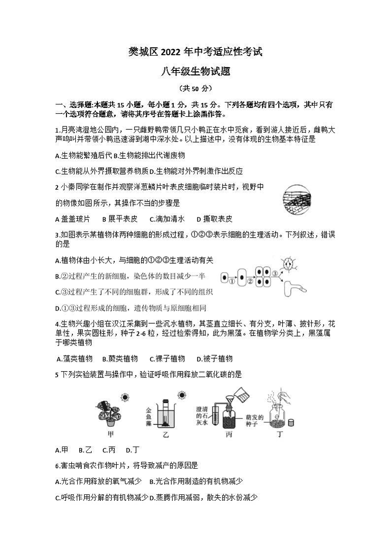 2022年湖北省襄阳市樊城区中考八年级生物适应性试题(含答案)第1页