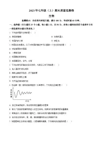 湖南省邵阳市邵阳县2023-2024学年七年级上学期期末生物试题(原卷版+解析版)