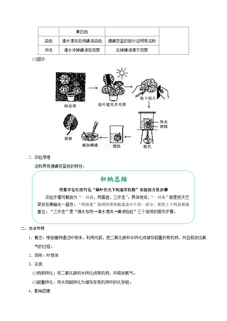 最新中考生物考点一遍过（一轮讲义） 考点16  植物的光合作用02