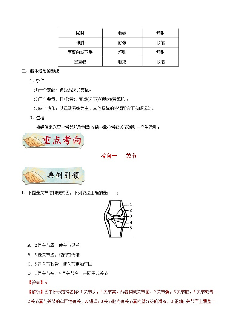 最新中考生物考点一遍过(一轮讲义) 考点33 动物的运动第3页