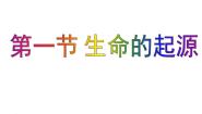 北师大版八年级下册第1节  生命的起源图片ppt课件