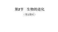 初中生物北师大版八年级下册第2节  生物的进化多媒体教学ppt课件