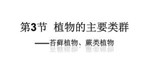 初中生物北师大版八年级下册第3节  植物的主要类群课堂教学课件ppt
