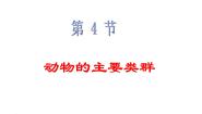 初中生物北师大版八年级下册第4节  动物的主要类群教学演示ppt课件
