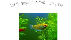 北师大版生物八年级下册 第23章 第1节  《生物的生存依赖一定环境》课件1