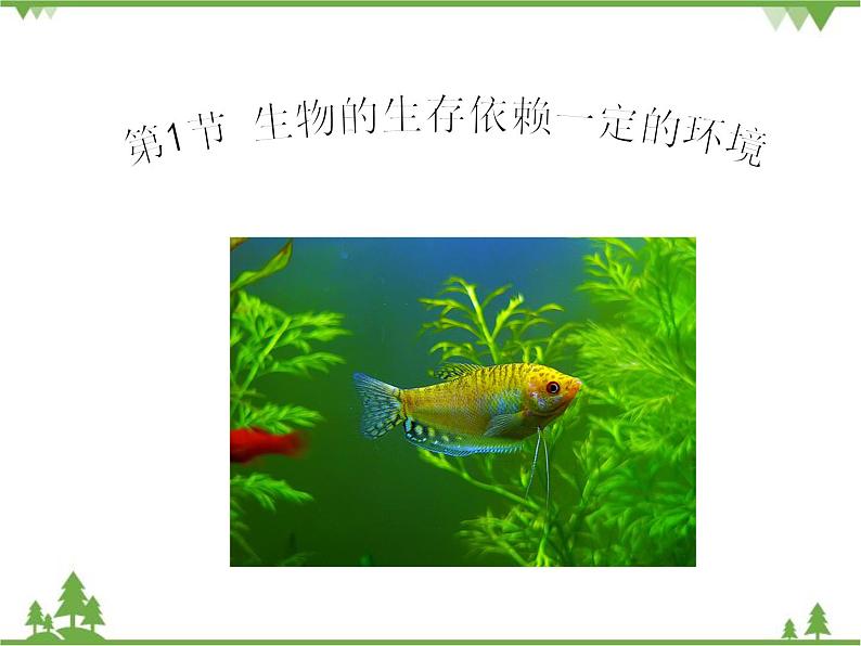 北师大版生物八年级下册 第23章 第1节 《生物的生存依赖一定环境》课件1第1页