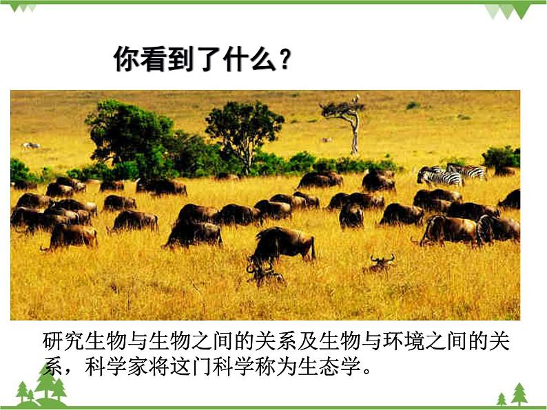 北师大版生物八年级下册 第23章 第1节 《生物的生存依赖一定环境》课件1第2页