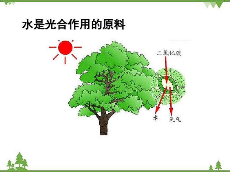 北师大版生物八年级下册 第23章 第1节 《生物的生存依赖一定环境》课件1第8页