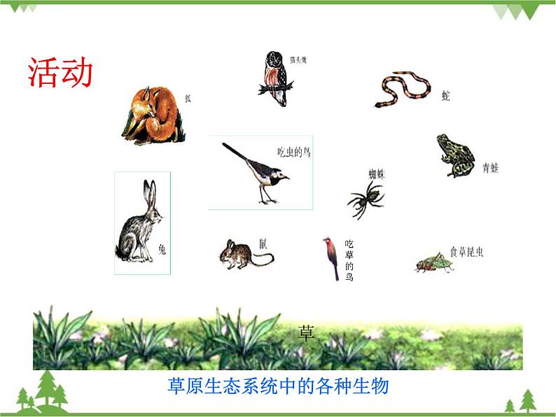 北师大版生物八年级下册 第23章 第3节 《生态系统的结构和功能》课件1第3页