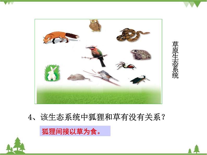 北师大版生物八年级下册 第23章 第3节 《生态系统的结构和功能》课件2 第1课时第5页
