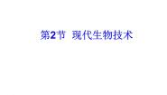 北师大版八年级下册第2节  现代生物技术教课ppt课件